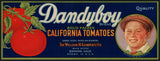 Vintage label DANDYBOY California Tomatoes William Gumpertz Oxnard 1924 n-mint+