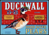 Vintage label DUCKWALL Hood River Pears duck pictured Oregon unused n-mint+