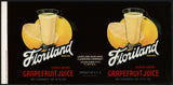 Vintage label FLORILAND Grapefruit Juice #1 Highlands City Florida new old stock
