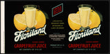 Vintage label FLORILAND Grapefruit Juice #2 Highlands City Florida new old stock