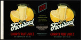 Vintage label FLORILAND Grapefruit Juice #3 Highlands City Florida new old stock