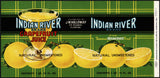 Vintage label INDIAN RIVER Grapefruit Juice 1941 J W Holloway Ft Pierce Florida