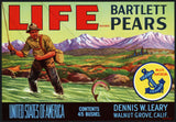 Vintage label LIFE Bartlett Pears man fishing Dennis Leary Walnut Grove California