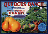 Vintage label QUERCUS RANCH Pear trees 1927 Lake County Kelseyville California