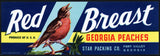 Vintage label RED BREAST Georgia Peaches robin bird Fort Valley unused n-mint+