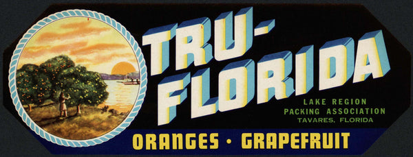 Vintage label TRU-FLORIDA Oranges Grapefruit trees Lake Region Tavares Florida
