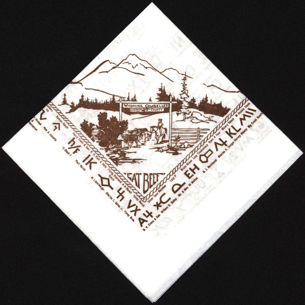 Vintage napkin WYOMING COWBELLES Carbon County branding irons pictured n-mint