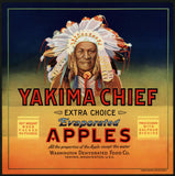 Vintage label YAKIMA CHIEF Apples indian chief pictured Washington unused n-mint+