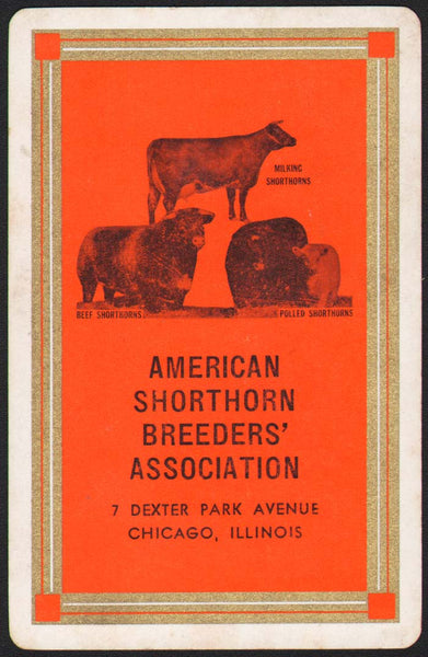 Vintage playing card AMERICAN SHORTHORN BREEDERS cattle pictured Chicago ILL