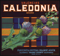 Vintage label CALEDONIA VALENCIAS fruit crate thistle pictured Placentia California