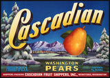 Vintage label CASCADIAN WASHINGTON PEARS mountains pictured Wenatchee unused n-mint+