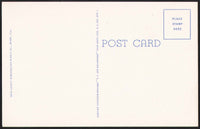 Vintage postcard CHAMPION CITATION at Hialeah Race Course Miami Florida linen