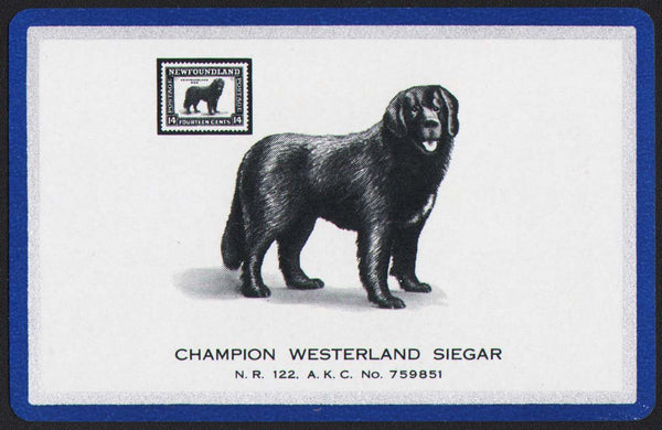 Vintage playing card CHAMPION WESTERLAND SIEGAR dog blue border AKC No 759851