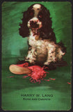 Vintage playing card HARRY W LANG Rugs and Carpets Butch and slipper Staehle art