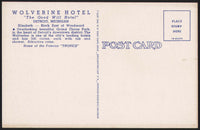 Vintage postcard HOTEL WOLVERINE Home of The Tropics hotel pictured Detroit Michigan