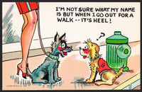 Vintage postcard I'M NOT SURE WHAT MY NAME IS woman dogs comic cartoon unused