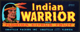 Vintage label INDIAN WARRIOR Florida Citrus Fruit indian pictured Umatilla FL n-mint+