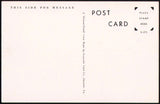 Vintage postcard MISSOURI STATE FAIR GROUNDS ENTRANCE photo like Sedalia MO unused