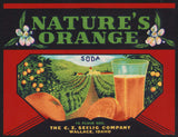 Vintage soda pop bottle label NATURES ORANGE SODA Seelig Wallace Idaho unused