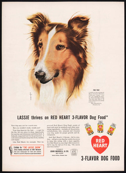 Vintage magazine ad RED HEART Dog Food from 1947 picturing Lassie art by Lial
