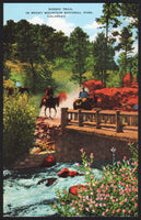 Vintage postcards COLORADO Lot of 9 all different linen type Denver Colorado Springs