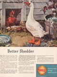 Vintage magazine ad SHELL OIL COMPANY 1945 duck and chicken Albert Staehle art