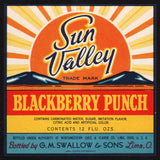 Vintage soda pop bottle label SUN VALLEY BLACKBERRY Swallows Lima Ohio n-mint+