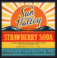 Vintage soda pop bottle label SUN VALLEY STRAWBERRY Swallows Lima Ohio n-mint+