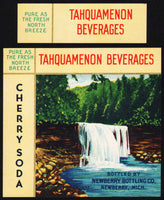 Vintage soda pop bottle label TAHQUAMENON Cherry Soda Newberry Michigan n-mint+