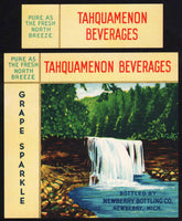 Vintage soda pop bottle label TAHQUAMENON Grape Sparkle Newberry Michigan n-mint+