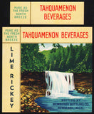Vintage soda pop bottle label TAHQUAMENON Lime Rickey Newberry Michigan n-mint+