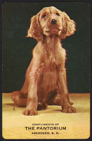 Vintage playing card THE PANTORIUM cleaners dog pictured Aberdeen South Dakota