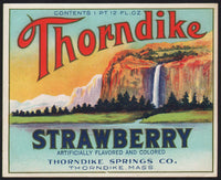 Vintage soda pop bottle label THORNDIKE STRAWBERRY waterfall pictured Massachusetts