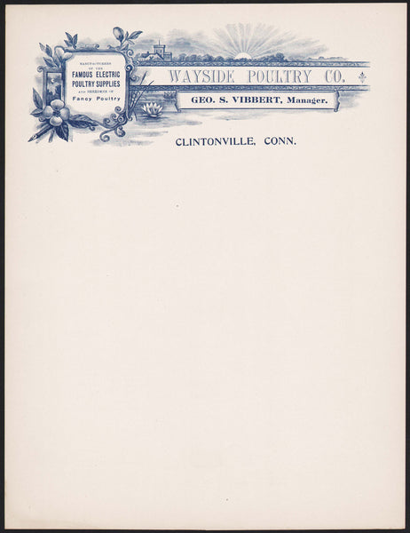 Vintage letterhead WAYSIDE POULTRY CO Geo S Vibbert Clintonville Conn early one